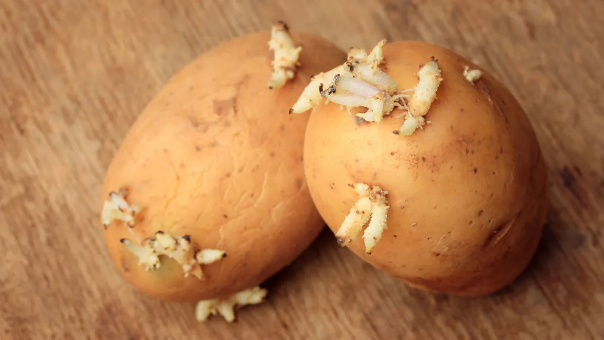 Aardappelen invriezen: de manier om ze vers te houden en tijd te besparen