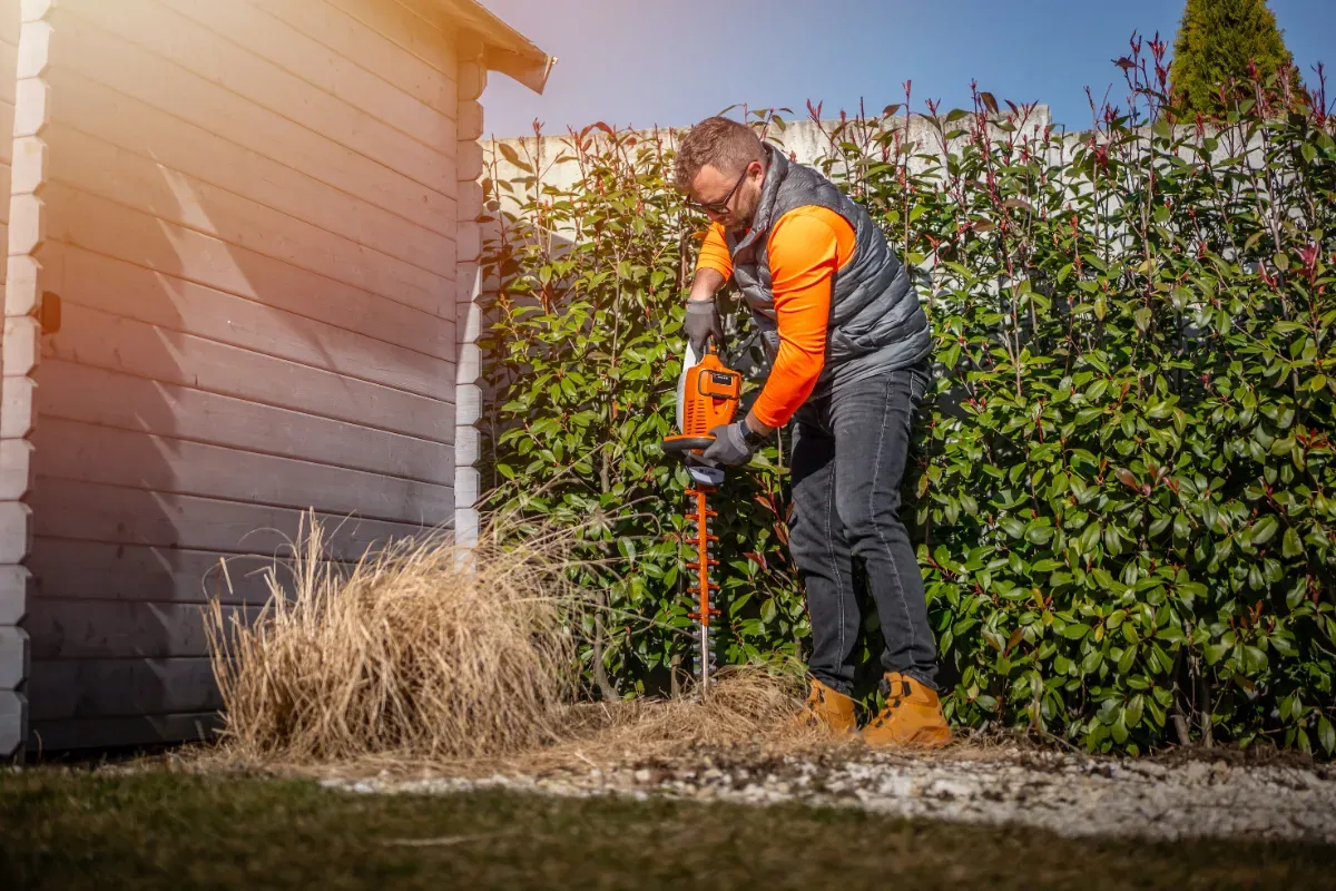 Nieuwe haagregels: wat huiseigenaren in december moeten weten
