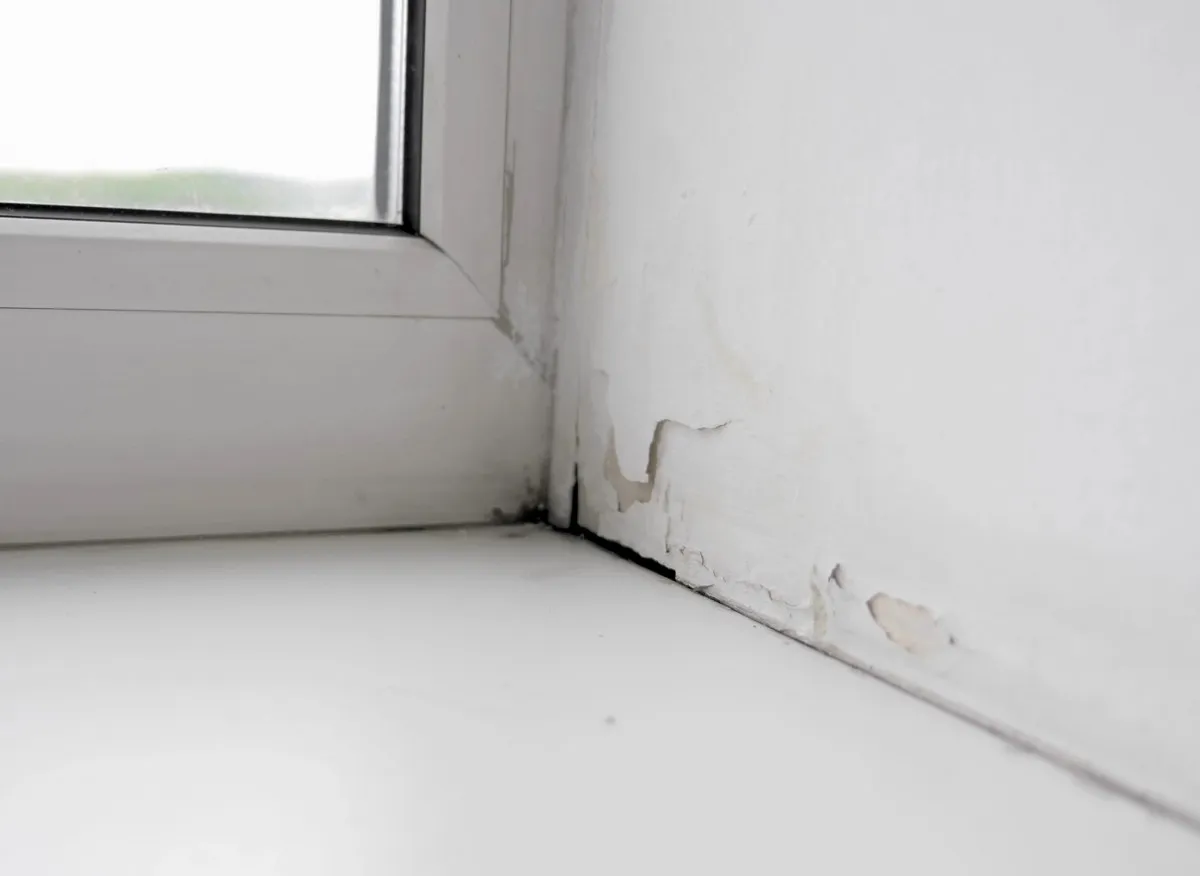 Zo pak je vocht en schimmel in huis aan
