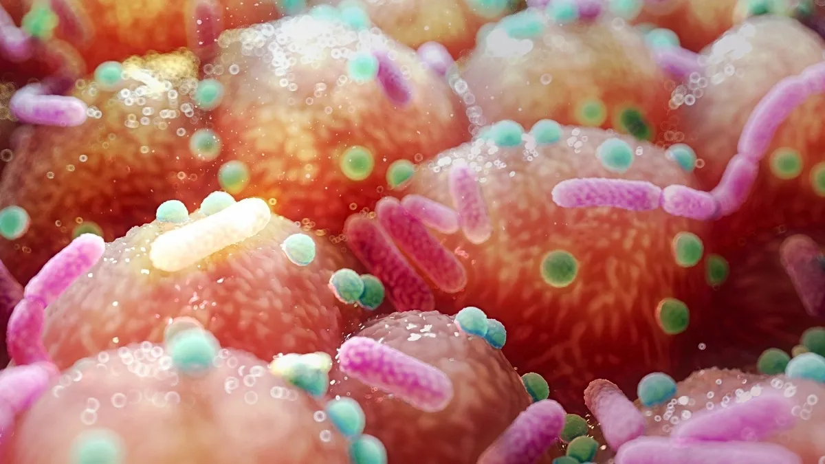 Nieuwe inzichten in de ziekte van Parkinson: de rol van darmmicrobiota en B‑vitaminen