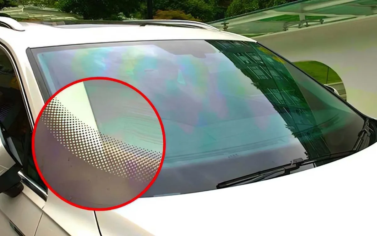 Waarom zitten die zwarte stipjes op je voorruit?